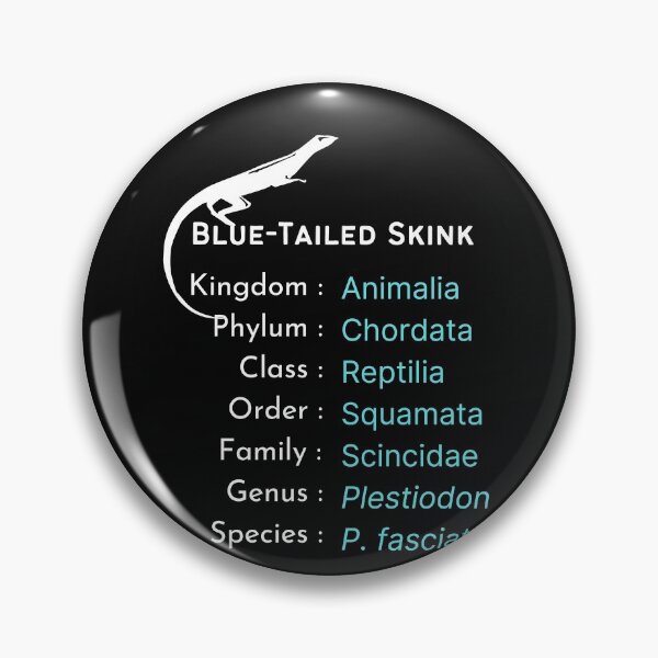 Item preview, Blue tailed skink lover B'day gift | Reptile keeper present designed and sold by OleeVO.