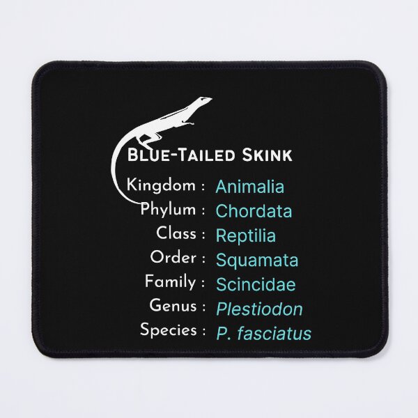 Item preview, Blue tailed skink lover B'day gift | Reptile keeper present designed and sold by OleeVO.