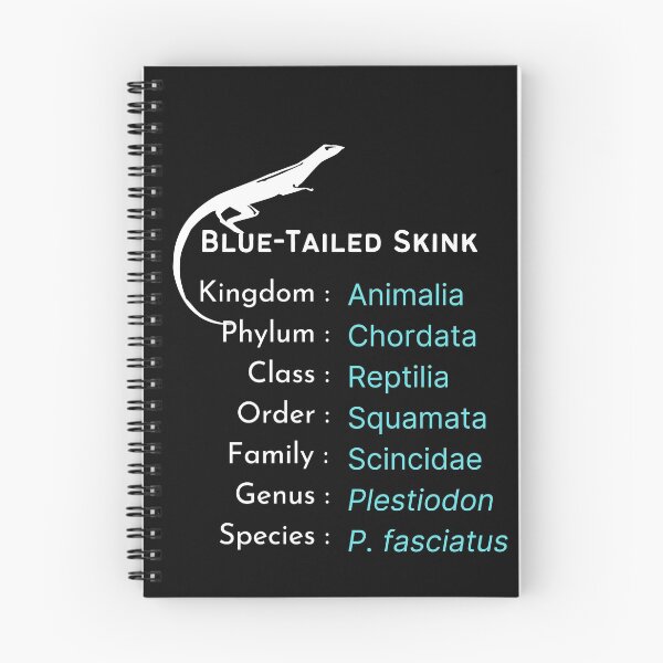 Item preview, Blue tailed skink lover B'day gift | Reptile keeper present designed and sold by OleeVO.