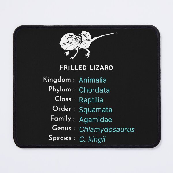 Item preview, Frilled Lizard Lover B'day Gift | Bearded dragon keeper present designed and sold by OleeVO.