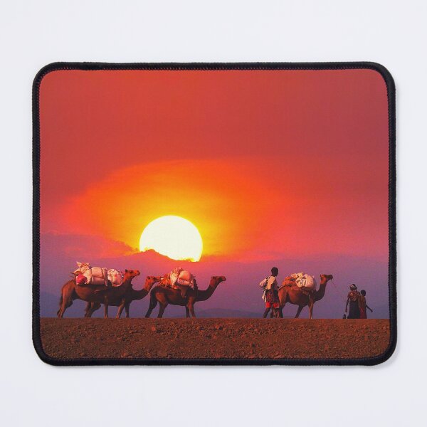 Item preview, camel photo with high resolution quality designed and sold by Allyouneed-2.