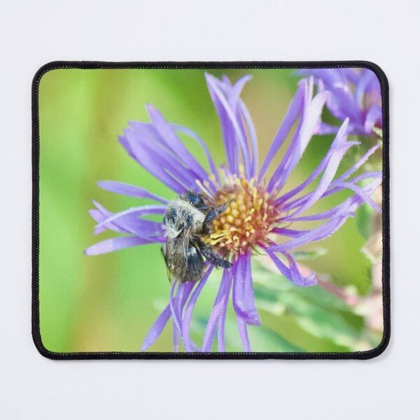 Item preview, Bee Pollinating Echinacea designed and sold by OlympicsMerch.