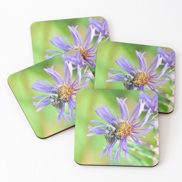 Item preview, Bee Pollinating Echinacea designed and sold by OlympicsMerch.