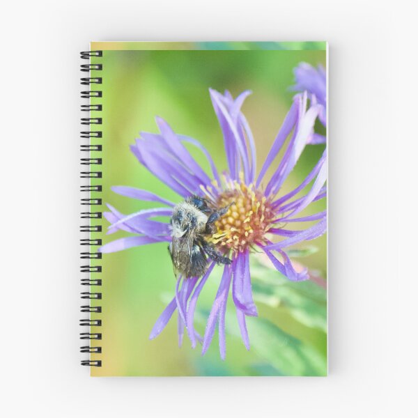 Item preview, Bee Pollinating Echinacea designed and sold by OlympicsMerch.