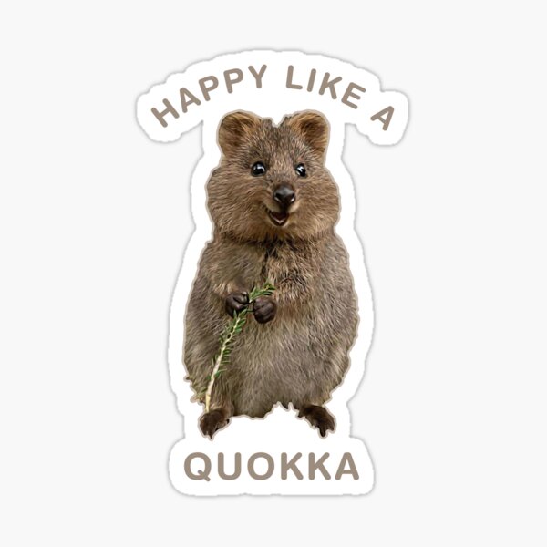Glücklich wie ein Quokka Sticker