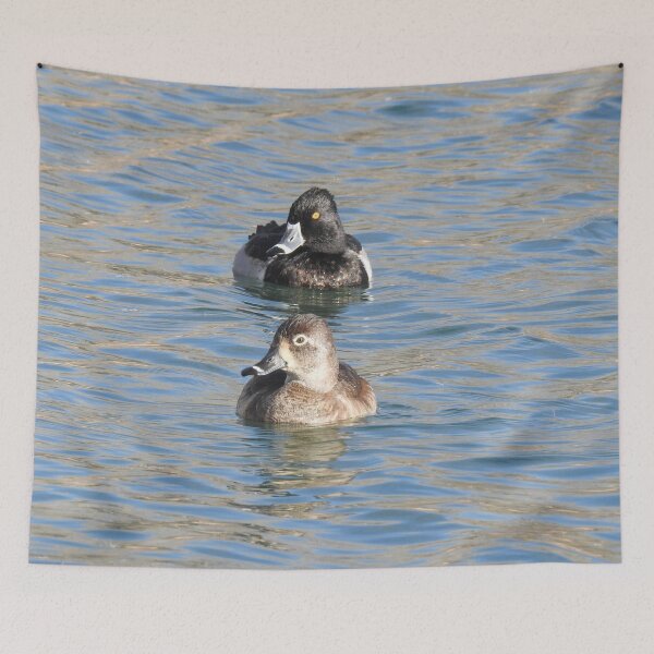 Item preview, Wildlife gifts, waterfowl, ring-necked ducks designed and sold by Sandra O'Toole.