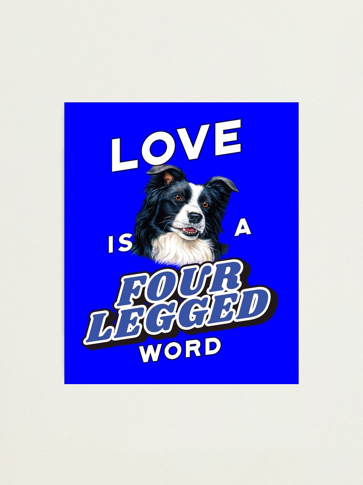 Love Is A Four Legged Word Border Collie Dog T Shirt Love Is A Four Legged Word Border Collie Dog T Shirt
