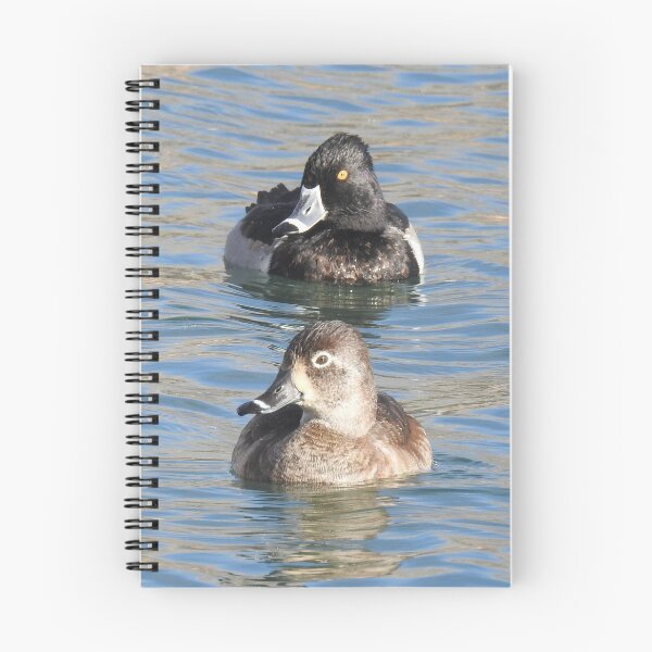 Item preview, Wildlife gifts, waterfowl, ring-necked ducks designed and sold by Sandra O'Toole.