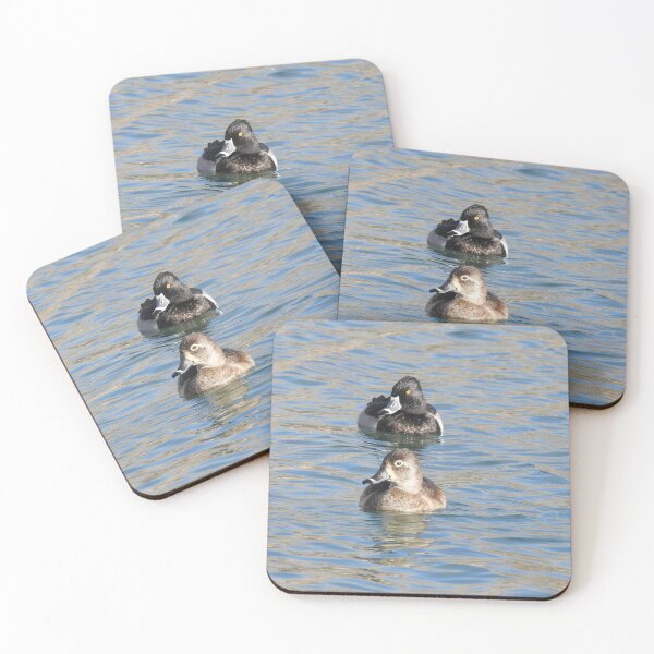 Item preview, Wildlife gifts, waterfowl, ring-necked ducks designed and sold by Sandra O'Toole.