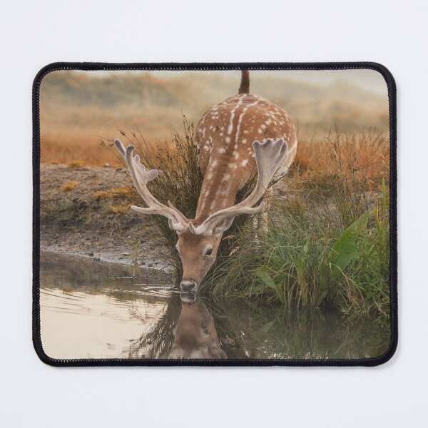 Item preview, Fallow reflection designed and sold by Junkyardmax.