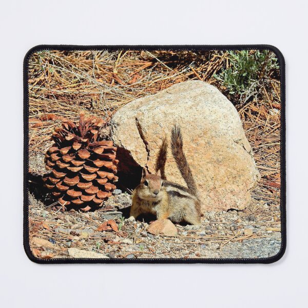 Item preview, Chipmunks, wildlife, Gotcha designed and sold by Sandra O'Toole.