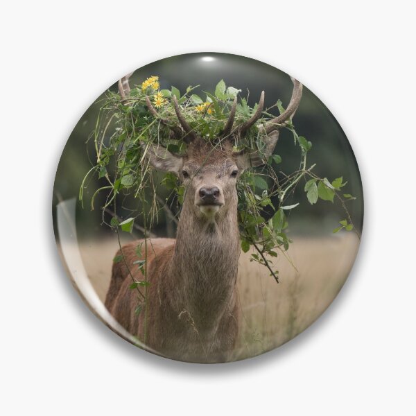 Item preview, summer crown designed and sold by Junkyardmax.