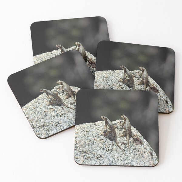 Item preview, Wildlife gifts, reptiles, western fence lizard designed and sold by Sandra O'Toole.