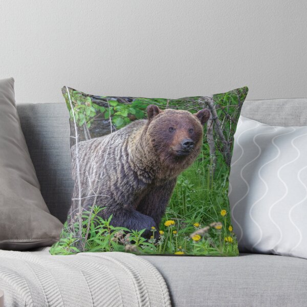 Item preview, Where did you come from?! designed and sold by James (820Photography) Anderson.