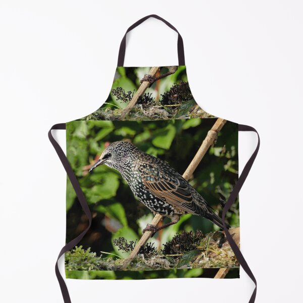 Item preview, r990 / New Finition 2021- Etourneau " attentif " (c)(h) Olavia-Olao Okaio Créations designed and sold by o.okaïo.