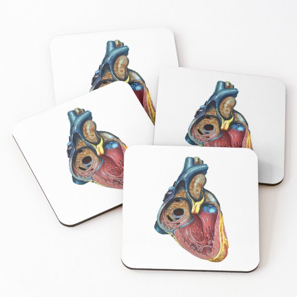 Item preview, Right Chamber of the Human Heart Anatomy designed and sold by Independence arrival.
