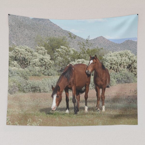 Item preview, Wild horses, salt river, Sonoran desert, Arizona, wildlife gifts designed and sold by Sandra O'Toole.