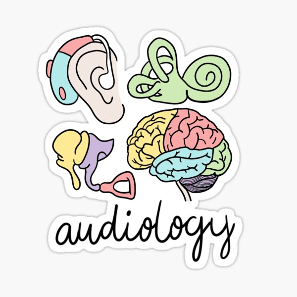 Item preview, Audiology Anatomy  designed and sold by p19baumanw.