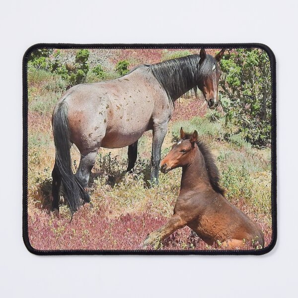 Item preview, Wild horses, mustangs, wildlife, Precious Moment designed and sold by Sandra O'Toole.
