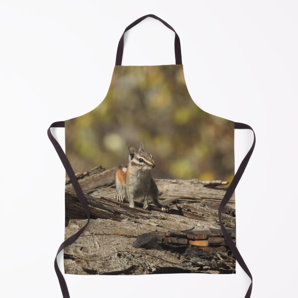 Item preview, Chipmunk, wildlife, gifts, animals, Cutie Pie designed and sold by Sandra O'Toole.