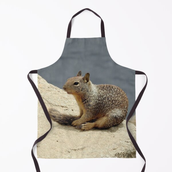 Item preview, Squirrel, wildlife, gifts, animals, Squirrelly Happiness designed and sold by Sandra O'Toole.
