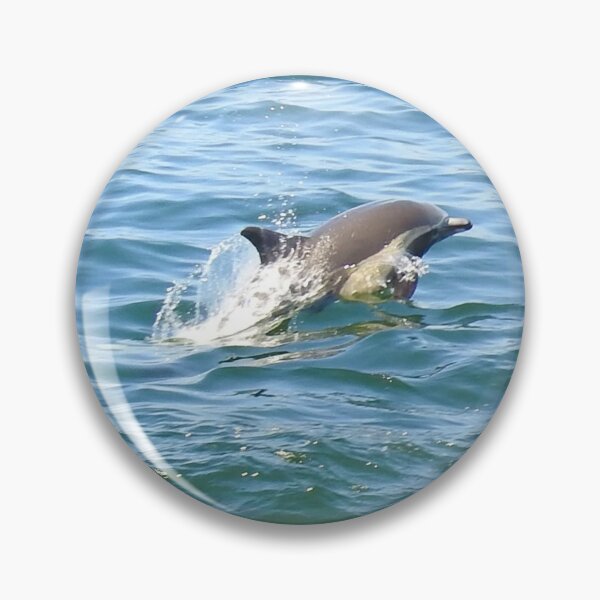 Item preview, Marine Life, Striped Dolphin, Pacific Ocean, California designed and sold by Sandra O'Toole.