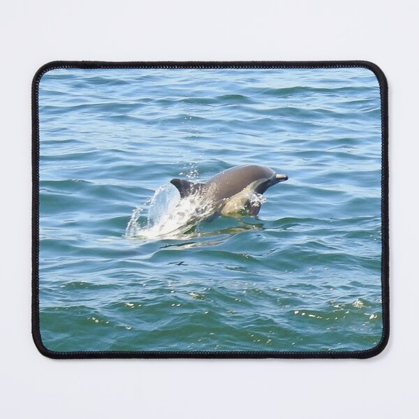 Item preview, Marine Life, Striped Dolphin, Pacific Ocean, California designed and sold by Sandra O'Toole.