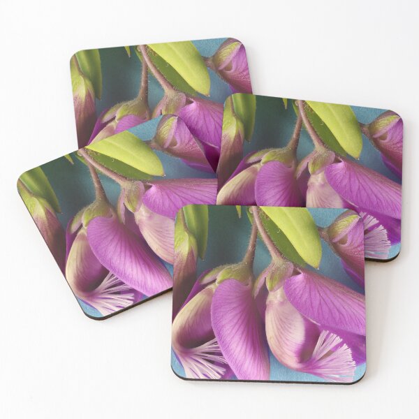 Item preview, Polygala Dazzler (Polygala myrtifolia x dalmaisiana) flowers designed and sold by NanaRusty.