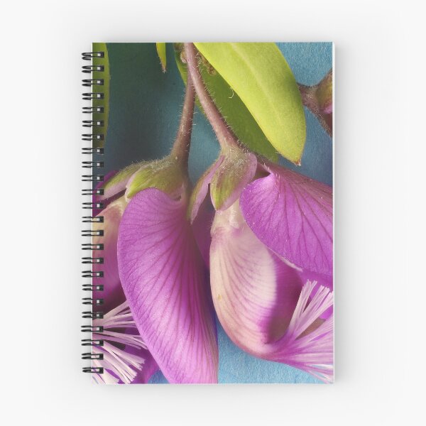 Item preview, Polygala Dazzler (Polygala myrtifolia x dalmaisiana) flowers designed and sold by NanaRusty.