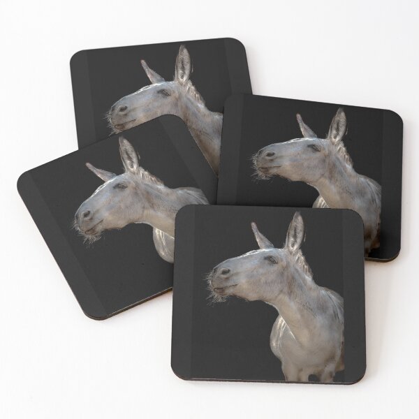 Item preview, Maybelline the Donkey designed and sold by Equipowerment.