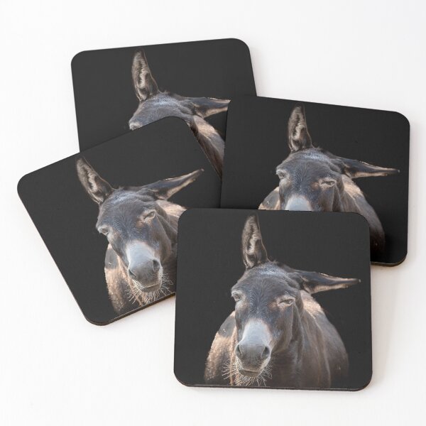 Item preview, Bellarose the Donkey designed and sold by Equipowerment.