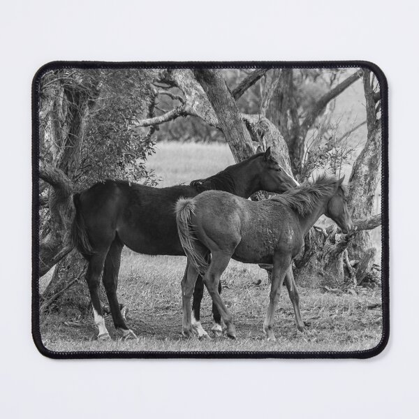 Item preview, Sheltering in the Mallee designed and sold by Penny Heighes.