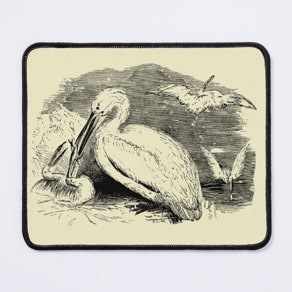 Item preview, Brown Pelican designed and sold by bayli-quick.