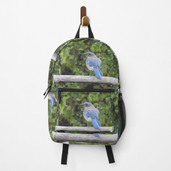 Item preview, Western scrub-jay, birds, wildlife gifts designed and sold by Sandra O'Toole.