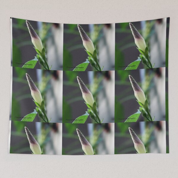 Item preview, Coned Glory designed and sold by Katagram.