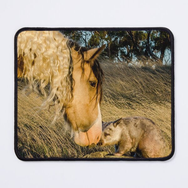 Item preview, Bonding designed and sold by Penny Heighes.