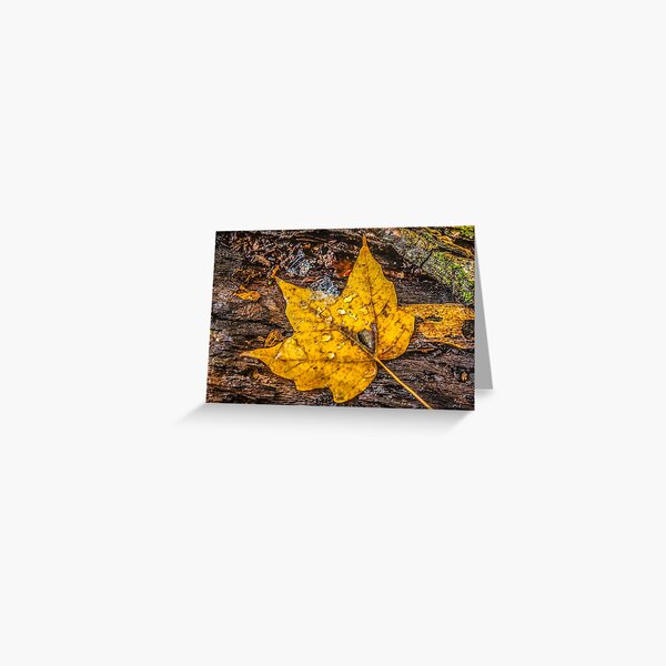 Blank Notelet Greetings Card Birthday Autumn Frost Golden Leaf Nature