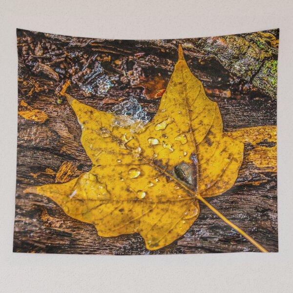 Item preview, Golden designed and sold by passion4photos.