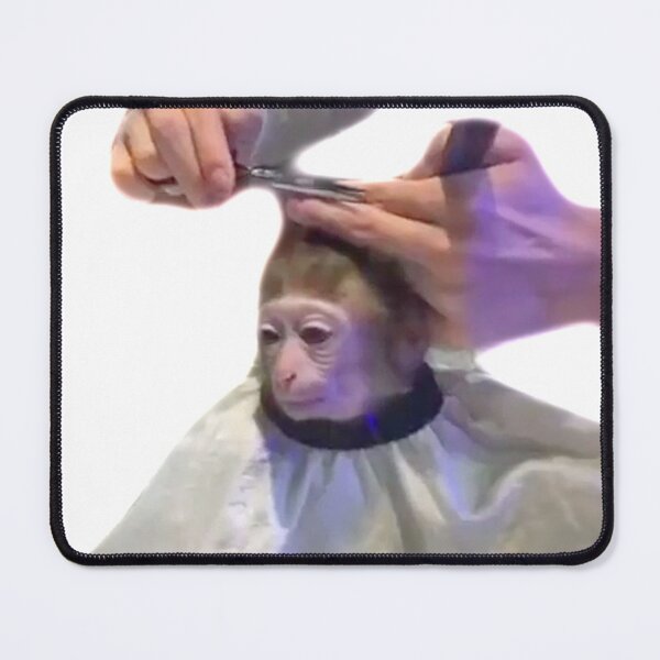 Item preview, Monkey Getting A Haircut - Monkey Monke Haircut designed and sold by bubbliorno.