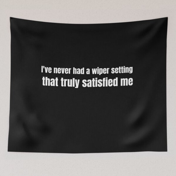 Item preview, I've never had a wiper setting that truly satisfied me designed and sold by lach3.