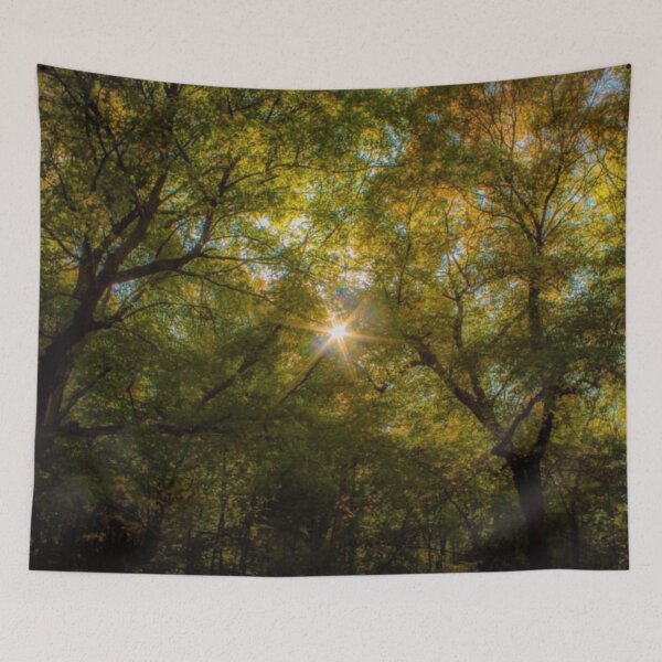 Item preview, Little Bright Star designed and sold by passion4photos.