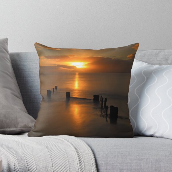 Throw Pillow
