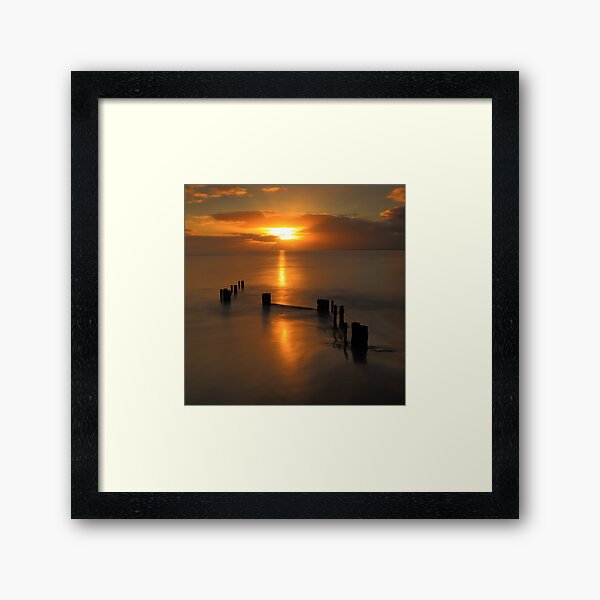 Framed Print