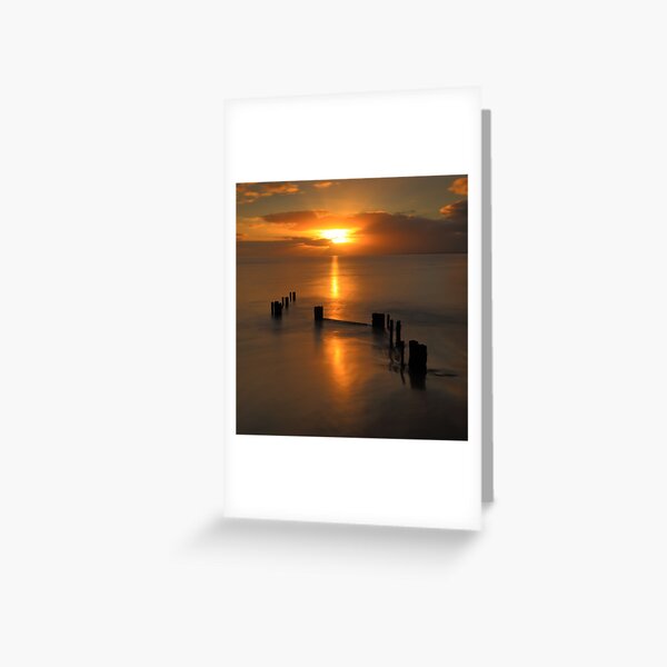 Greeting Card