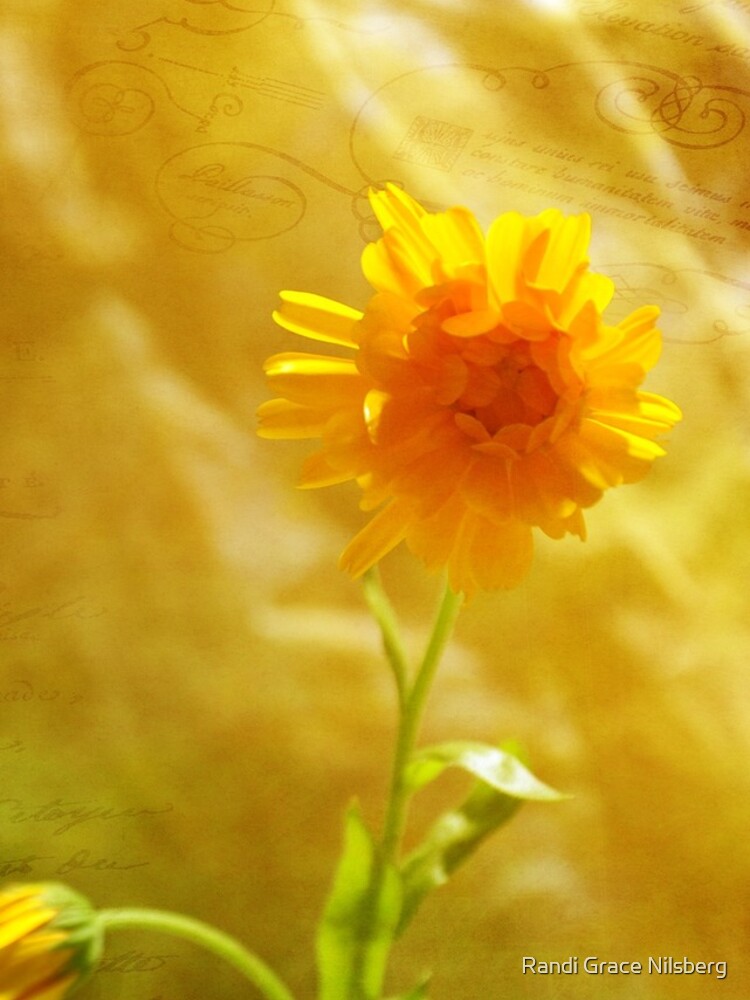 Thumbnail 5 of 5, iPhone Case, Yellow Note designed and sold by RandiGrace.