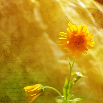 Artwork thumbnail, Yellow Note by Randi Grace Nilsberg