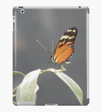 Butterfly iPad Case/Skin