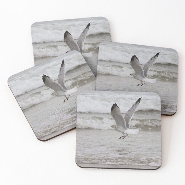 Item preview, Seashore Gull designed and sold by LisaNaturePhoto.