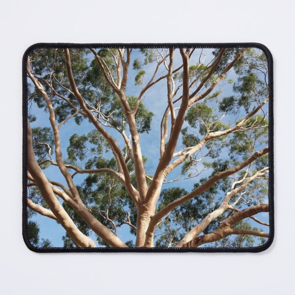 Item preview, Gumtree Australia designed and sold by PLANTONE.