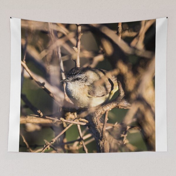Item preview, Yellow-Rumped Thornbill designed and sold by Withns.